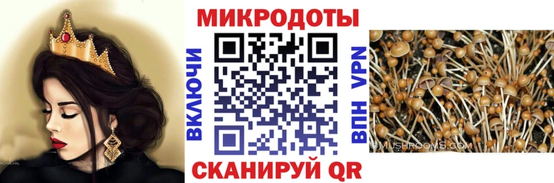 МЕГА   Льгов  Псилоцибиновые грибы мицелий  купить закладку 